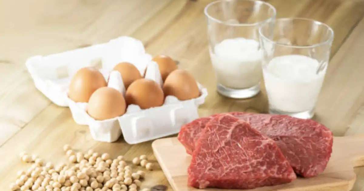 Елімізде ет, сүт және жұмыртқа өндірісі рекордтық деңгейге жетті