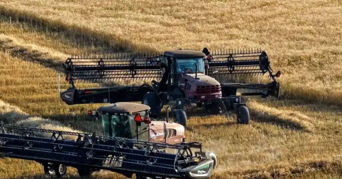 Қазақстан өзін азық-түлік тауарларының негізгі түрлерімен толық қамтамасыз етеді – министр