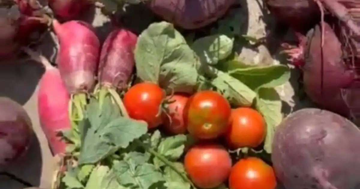 Colman Domingo and Jude Law at amfAR’s Venice Gala