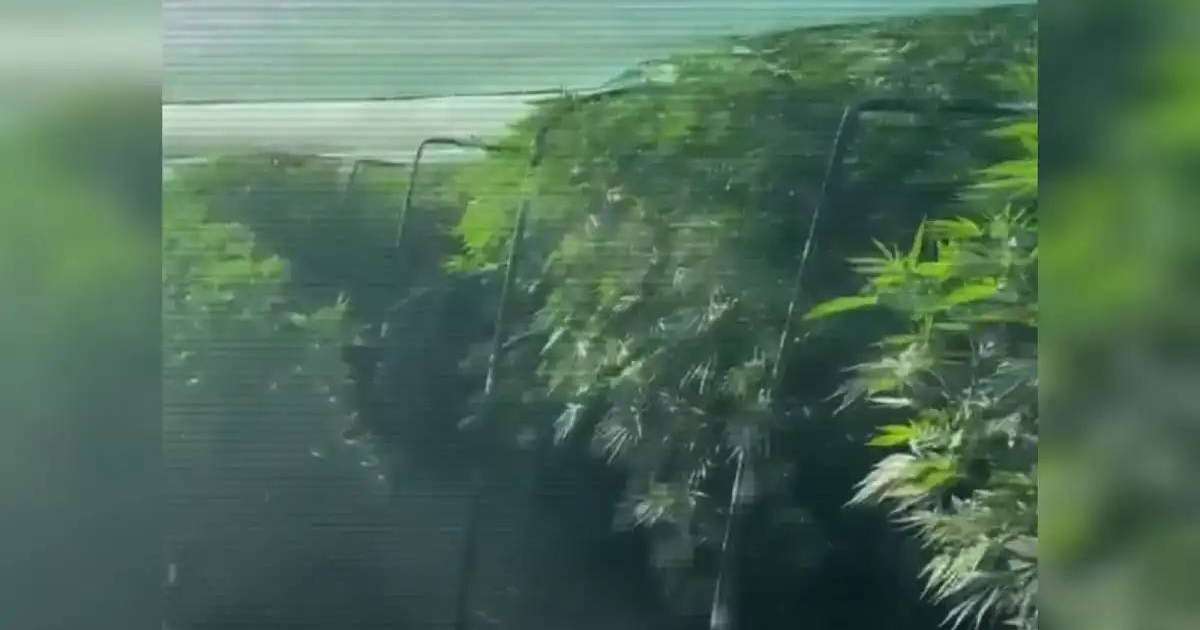 Colman Domingo and Jude Law at amfAR’s Venice Gala