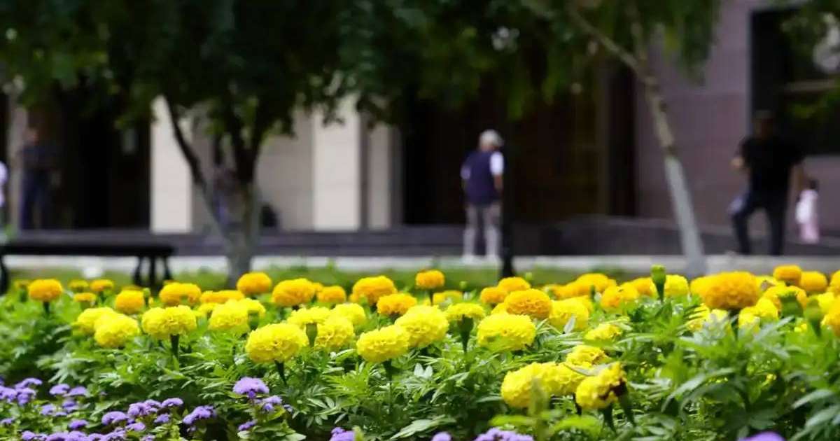 Colman Domingo and Jude Law at amfAR’s Venice Gala