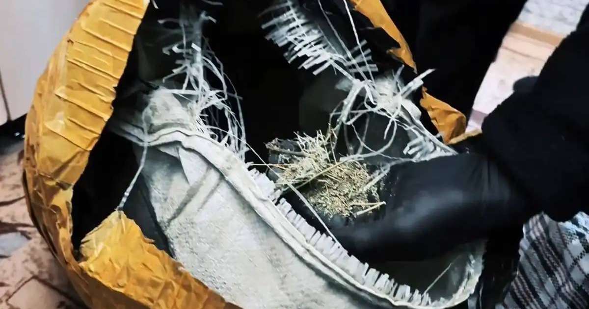 Telegram арқылы есірткі сатқандар 8 жылға бас бостандығынан айырылды