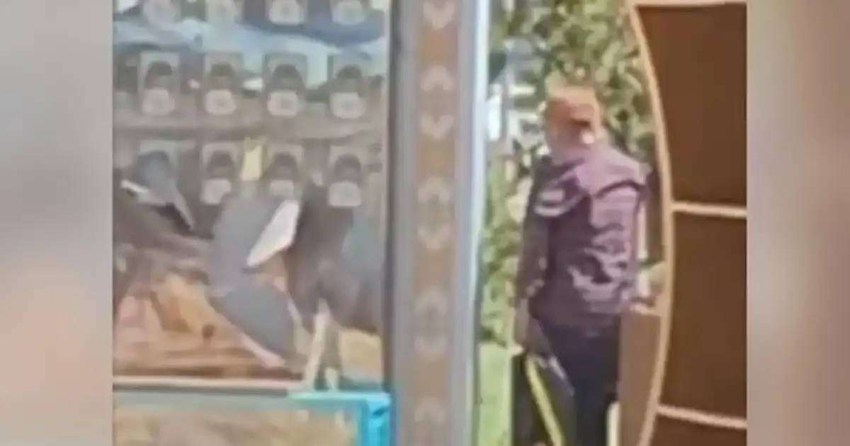 Colman Domingo and Jude Law at amfAR’s Venice Gala