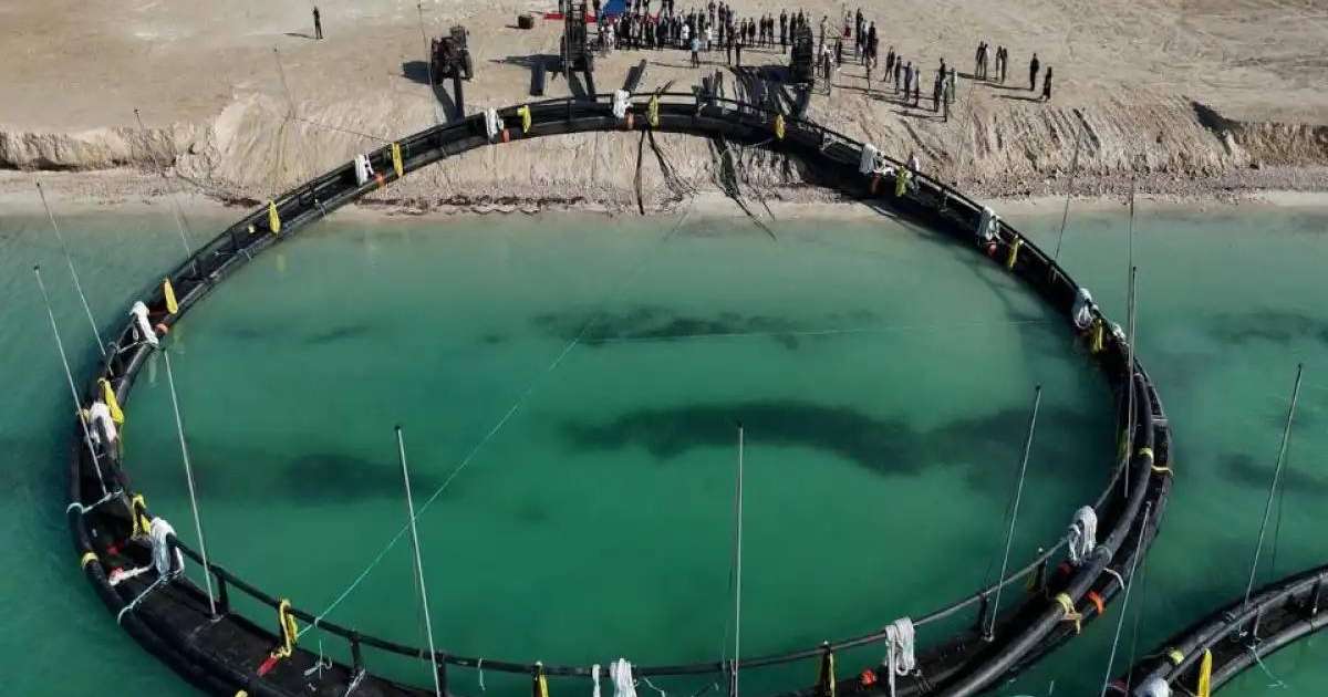 Colman Domingo and Jude Law at amfAR’s Venice Gala