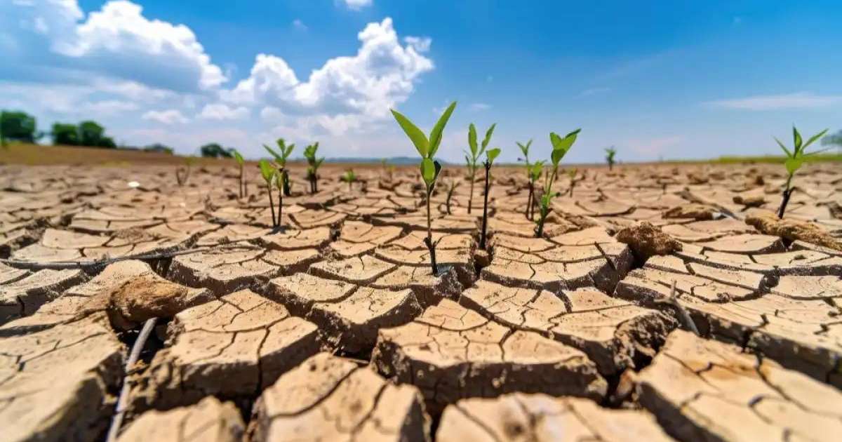 Жаздың соңында оңтүстік өңірлерде құрғақшылық болуы мүмкін