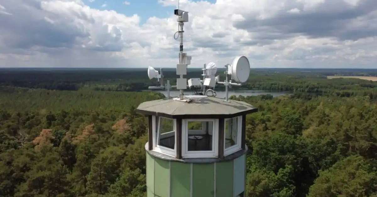 Қазақстанда ірі орман өрттерінің алдын алу шаралары қабылданып жатыр