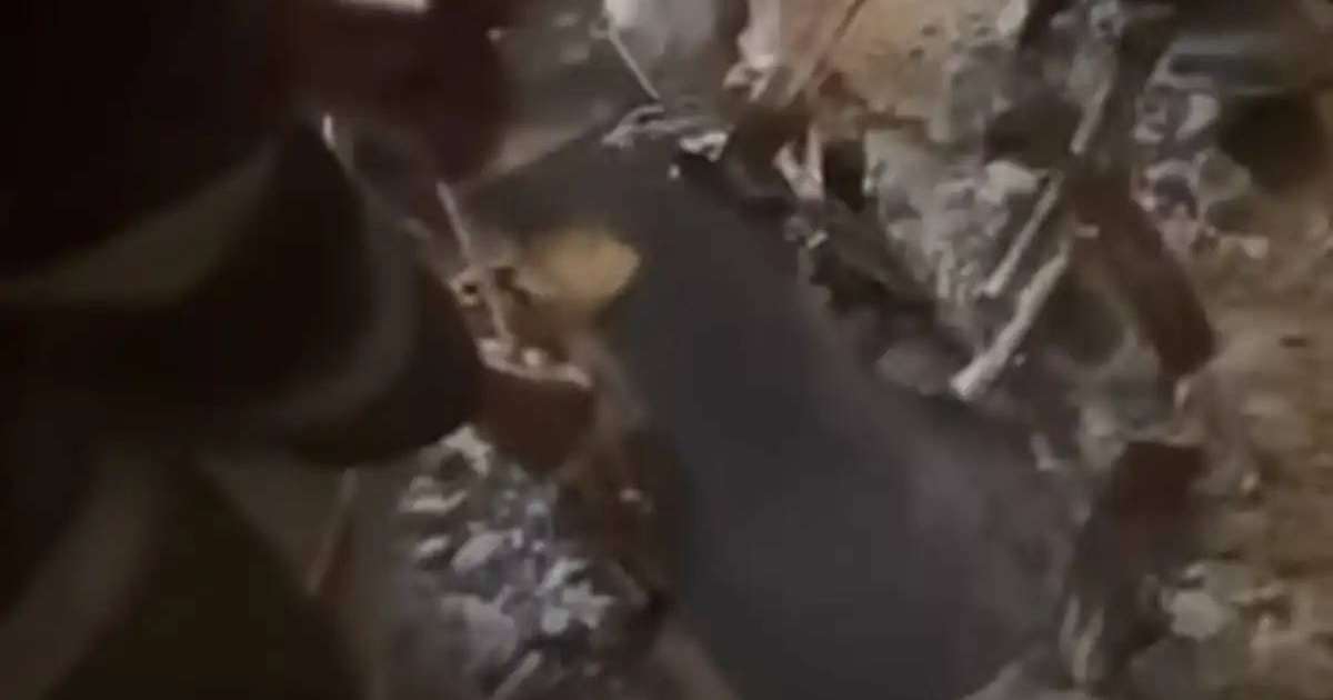 Түркістанда бір жасар бала әжетхана шұңқырына түсіп кетті