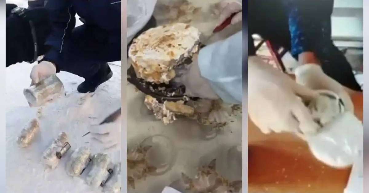 Colman Domingo and Jude Law at amfAR’s Venice Gala