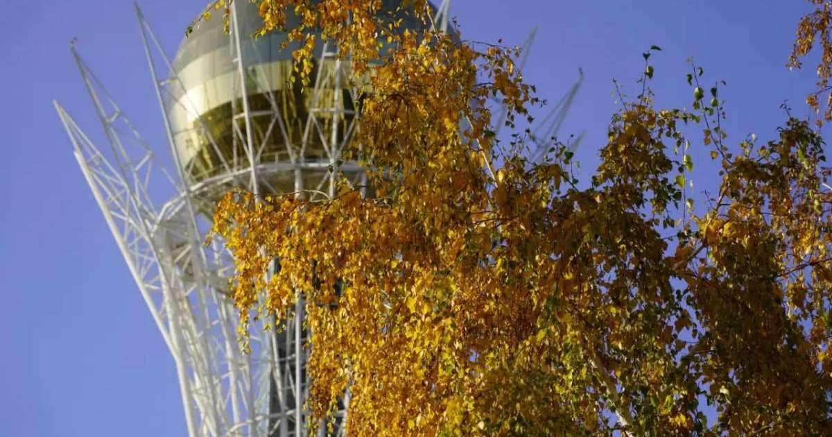 Colman Domingo and Jude Law at amfAR’s Venice Gala
