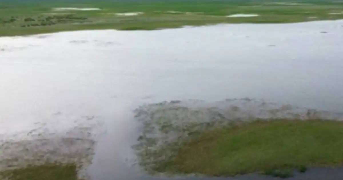 Colman Domingo and Jude Law at amfAR’s Venice Gala