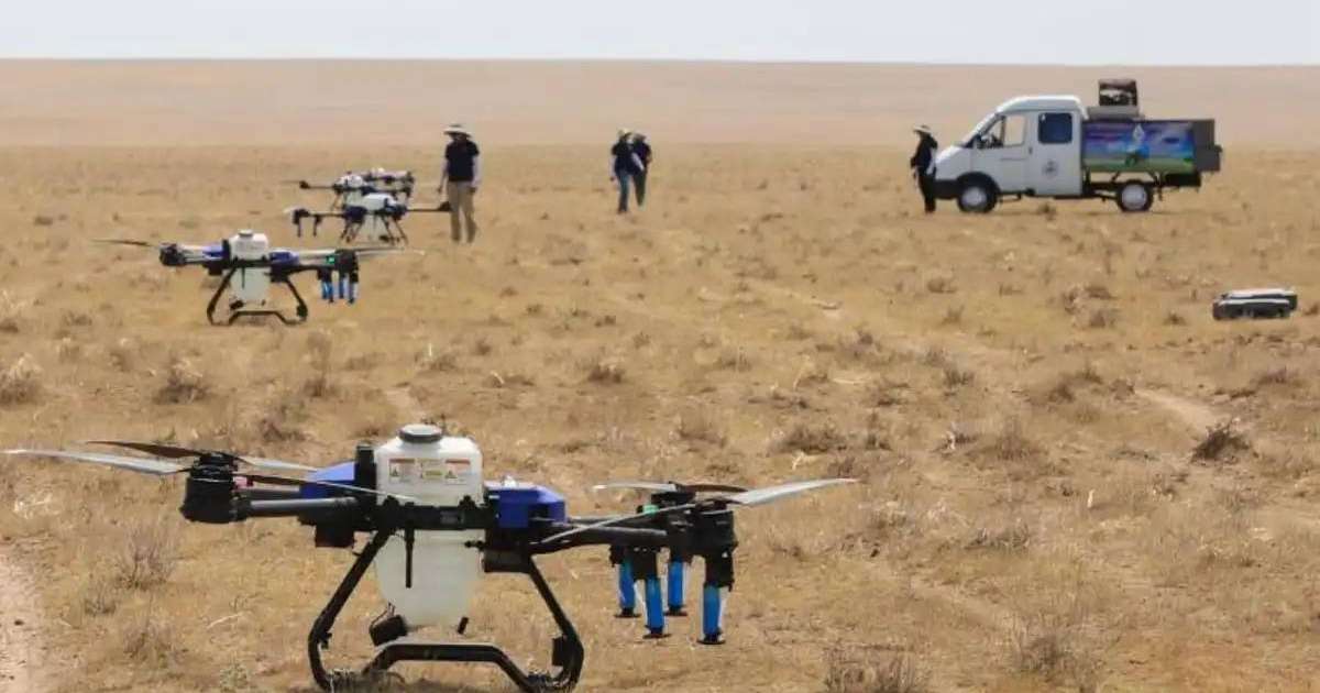 Елімізде 464 мың гектардан астам алқап шегірткеге қарсы өңделді