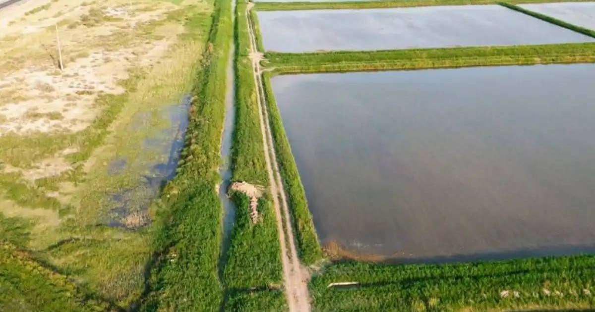 Colman Domingo and Jude Law at amfAR’s Venice Gala