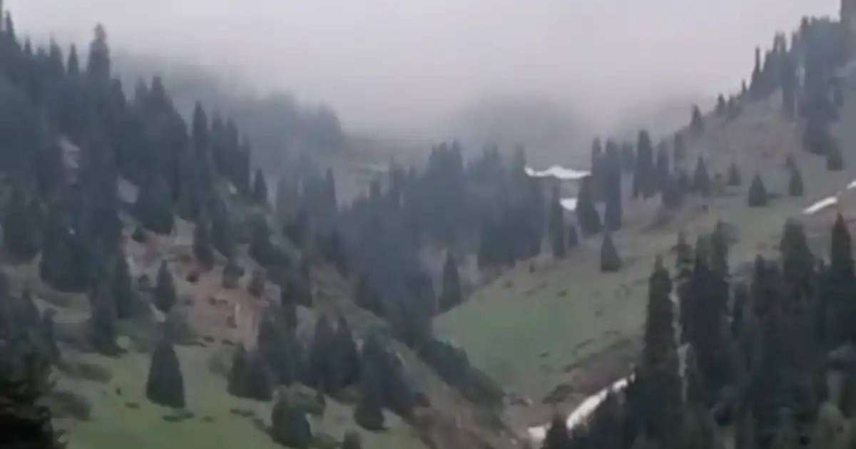 Colman Domingo and Jude Law at amfAR’s Venice Gala