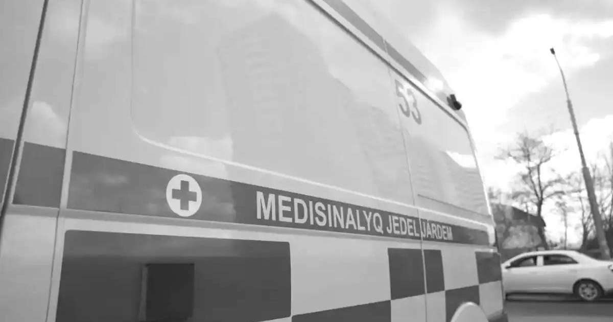 Елордада жолдан өтіп бара жатқан баланы жүк көлігі басып кетті