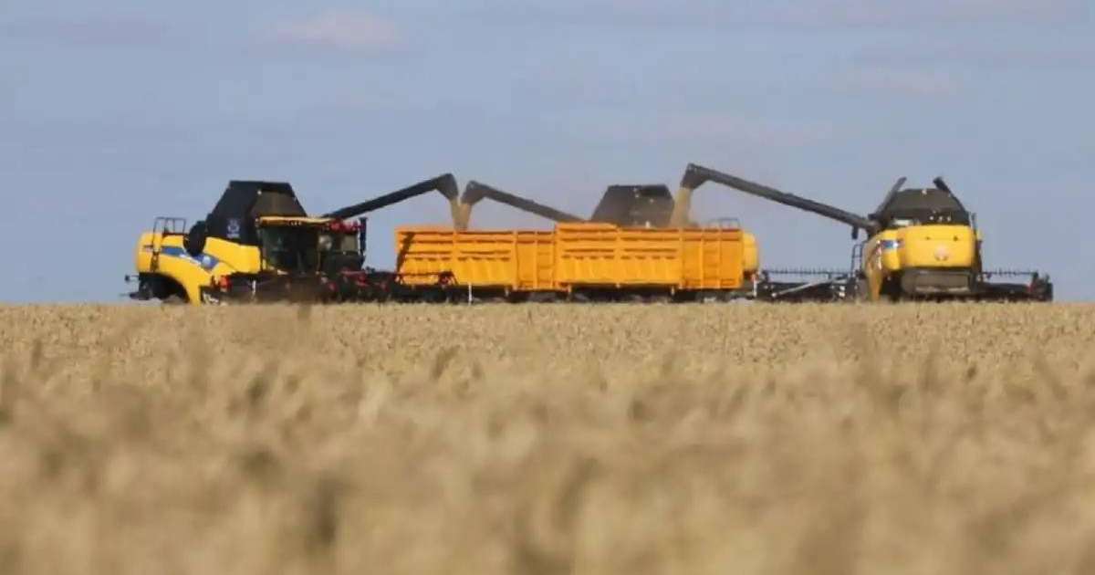 Президент Жолдауы – 2024: 2025 жылғы қаңтар-шілде айларында ауыл шаруашылығының жалпы өнім көлемі 3,7%-ға өсті