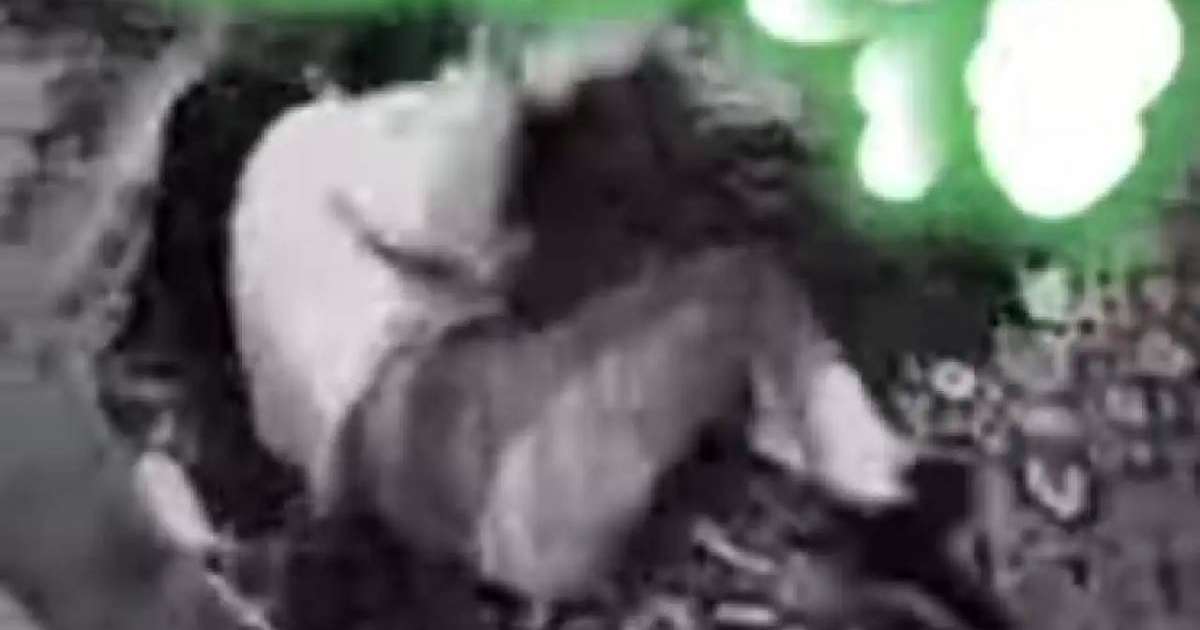 Павлодарда жасөспірім қыз бойжеткенді соққыға жыққан (ВИДЕО)