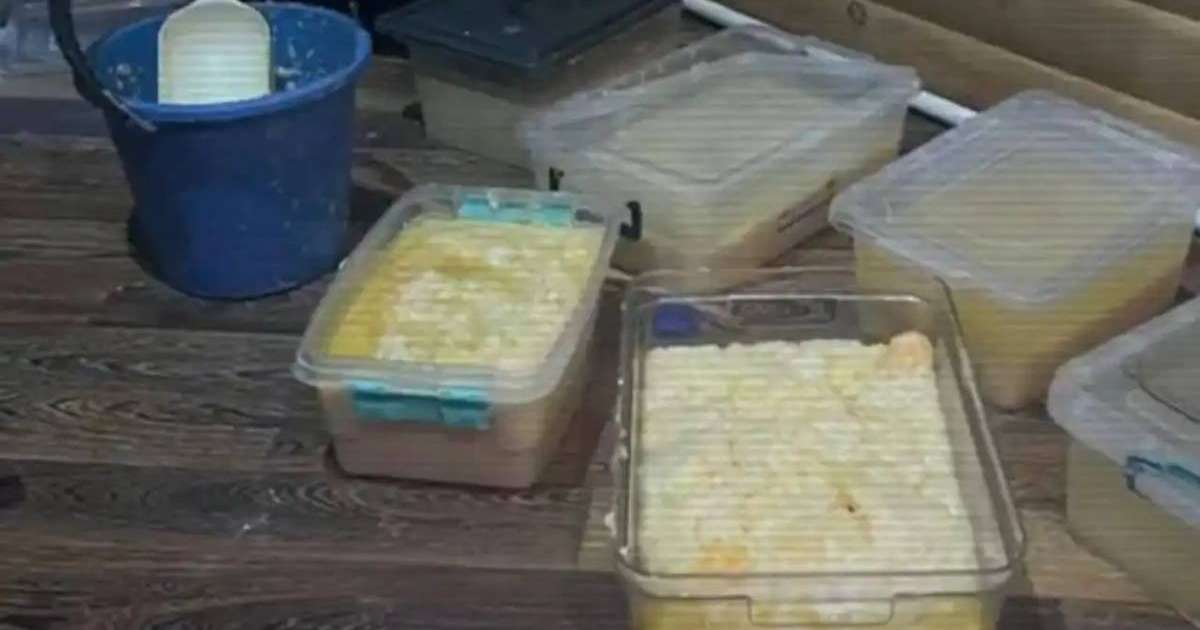 Colman Domingo and Jude Law at amfAR’s Venice Gala