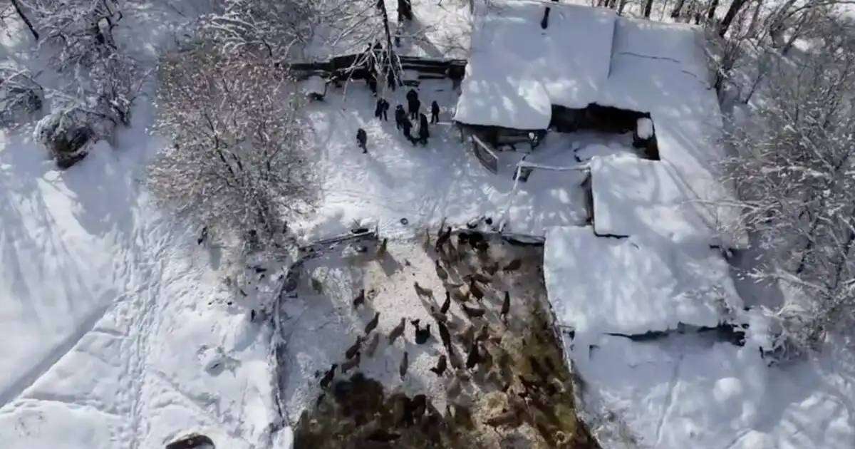 Colman Domingo and Jude Law at amfAR’s Venice Gala