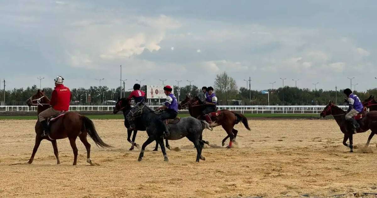 Дүниежүзілік көшпенділер ойыны: Ұлттық құрама аударыспақтан 5 алтын алды