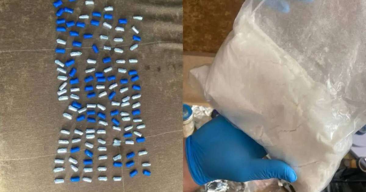 Есірткі таратқан студент 11 жылға бас бостандығынан айырылды