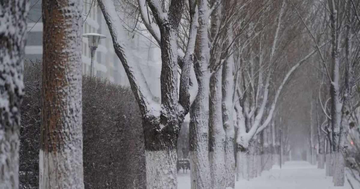 Ауа райына байланысты 14 өңірде дауылды ескерту жарияланды