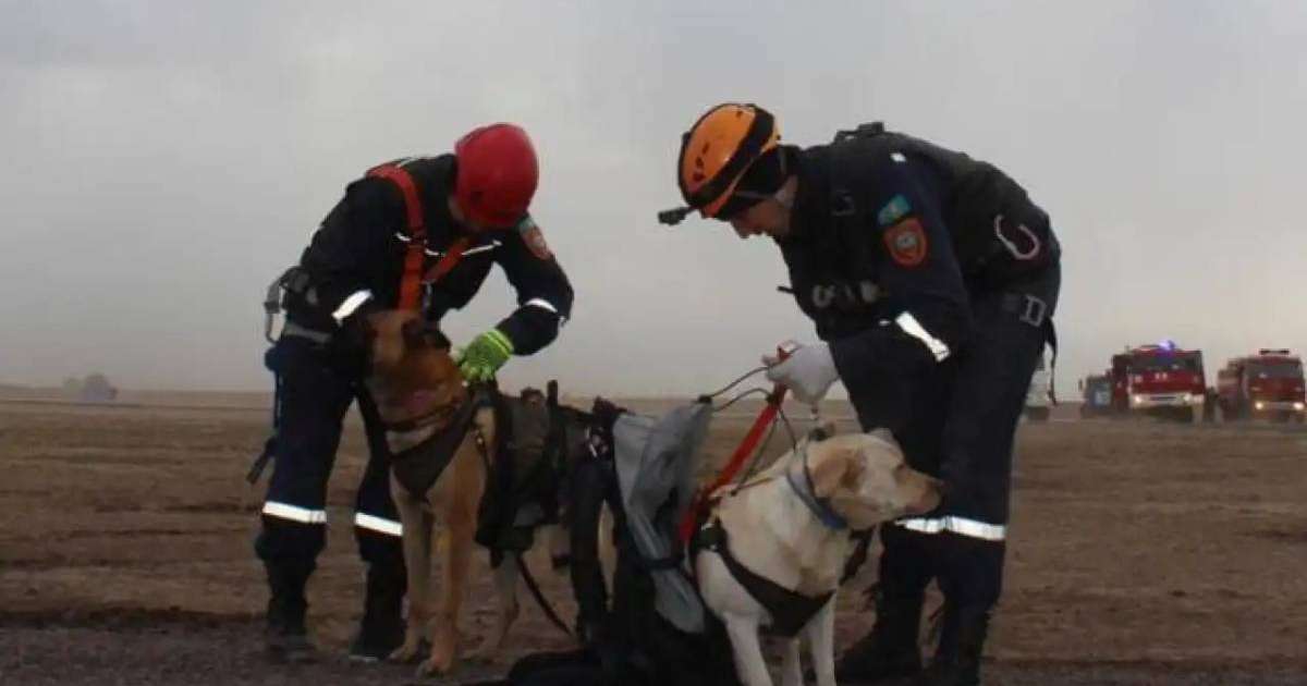 Colman Domingo and Jude Law at amfAR’s Venice Gala