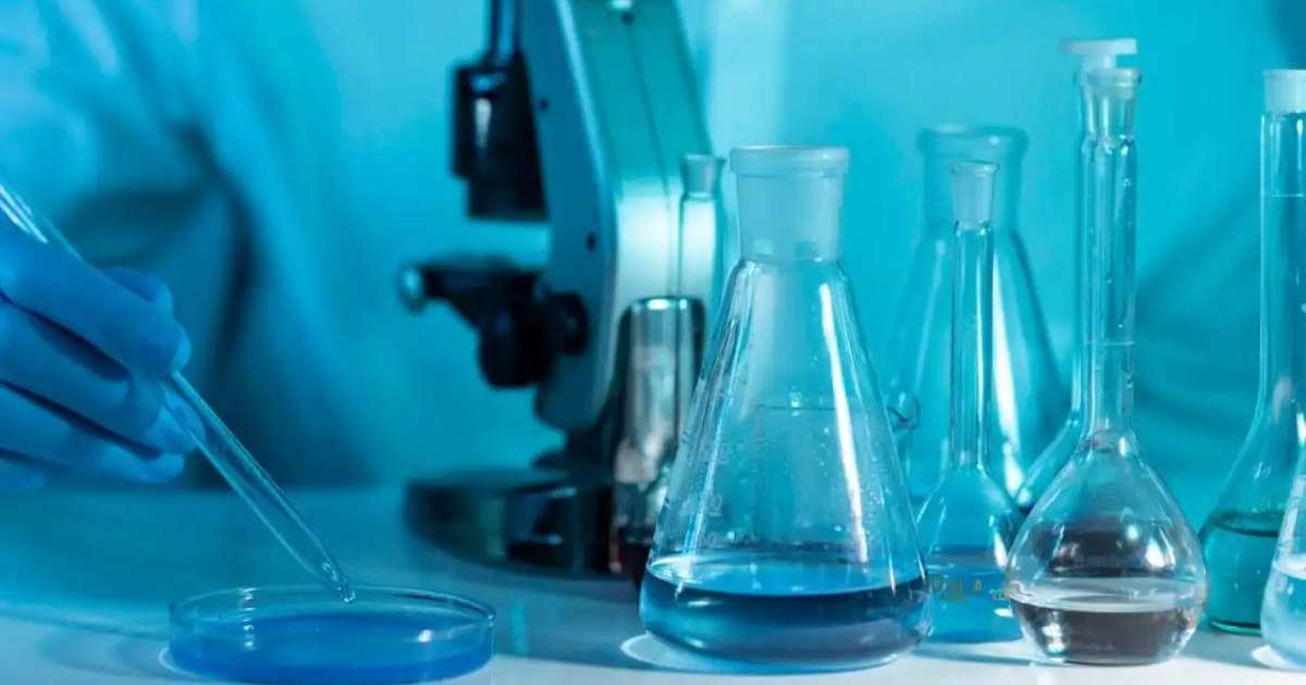 Каспий жағалауында итбалықтардың өлу себептері анықталып жатыр