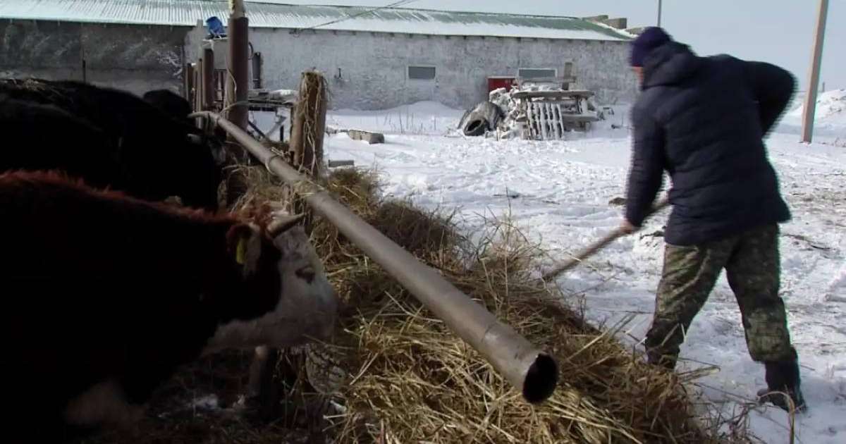 Ұрланған жеке порно фото архивтер