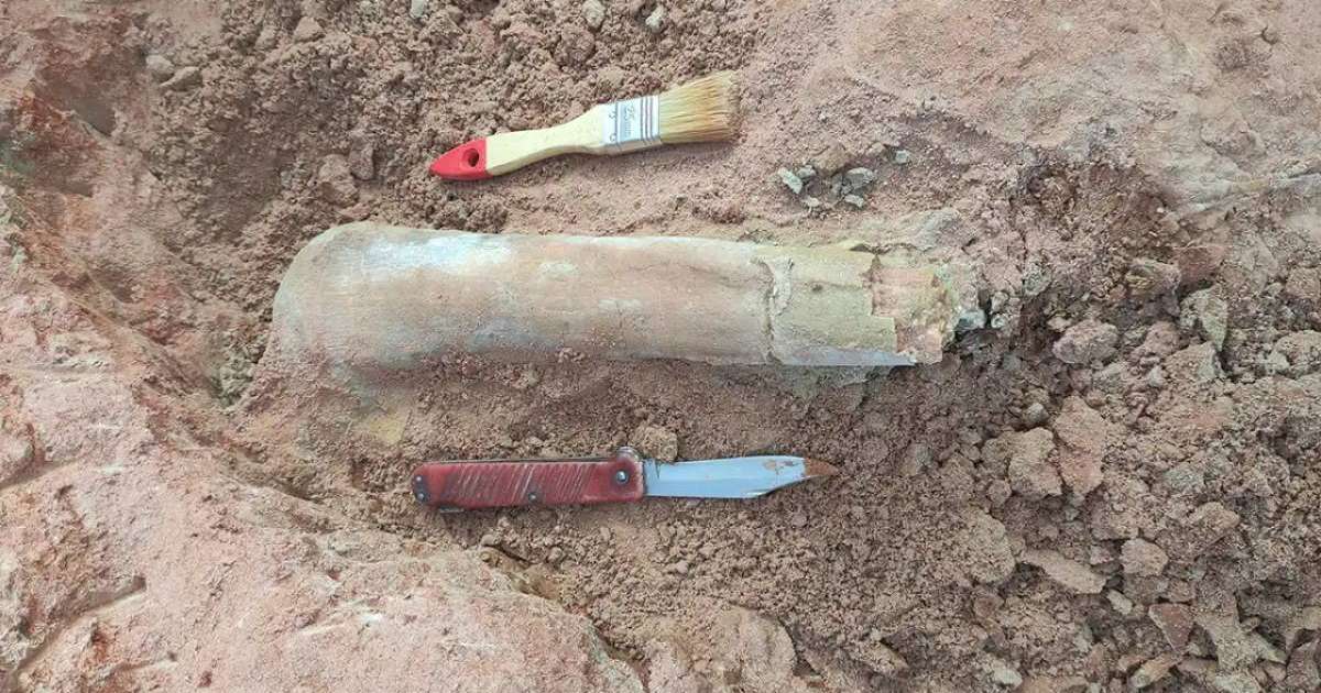 Тәжікстанда 85 миллион жыл бұрын өмір сүрген динозаврдың сүйегі табылды