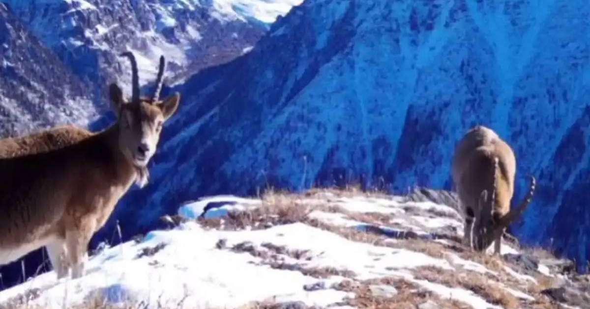 Colman Domingo and Jude Law at amfAR’s Venice Gala