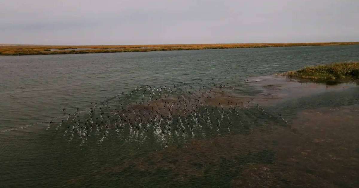 Colman Domingo and Jude Law at amfAR’s Venice Gala