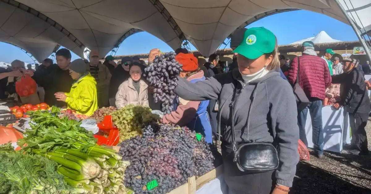 Елордада демалыс күндері ауыл шаруашылығы жәрмеңкелері басталады