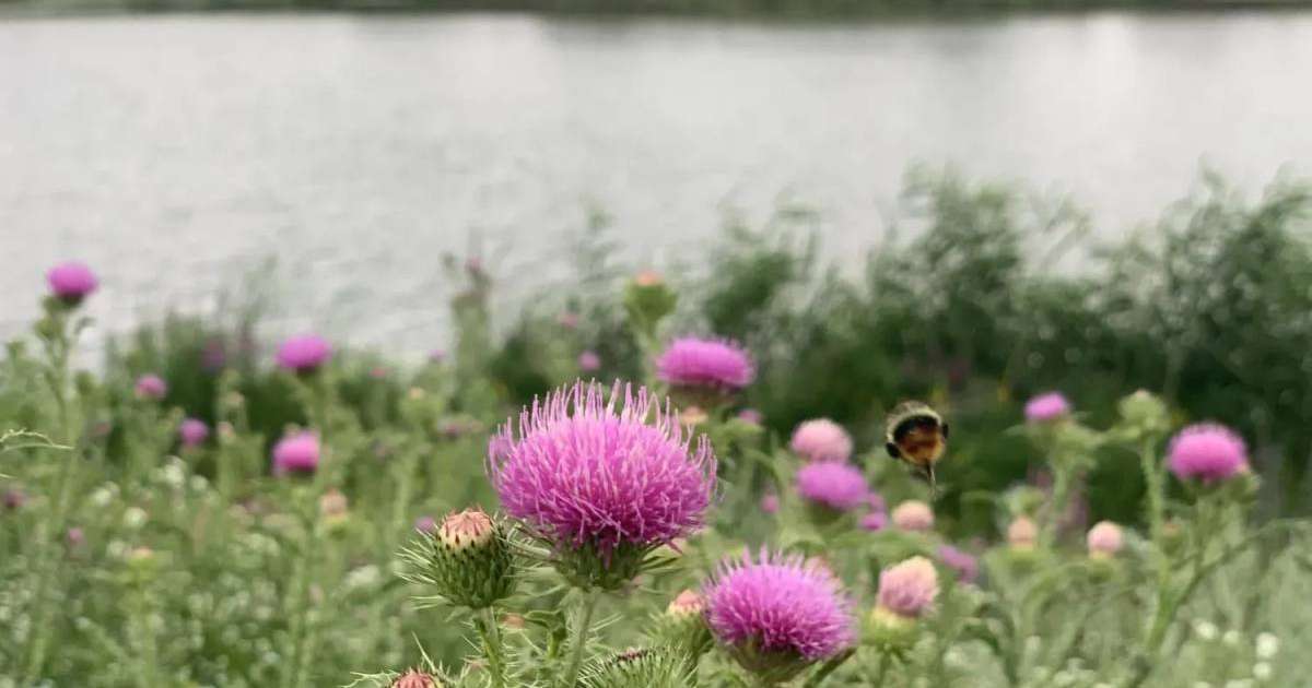 Алдағы күндері елімізде ауа температурасы төмендейді
