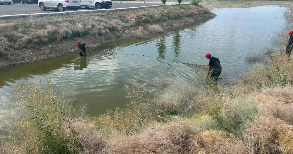 Colman Domingo and Jude Law at amfAR’s Venice Gala