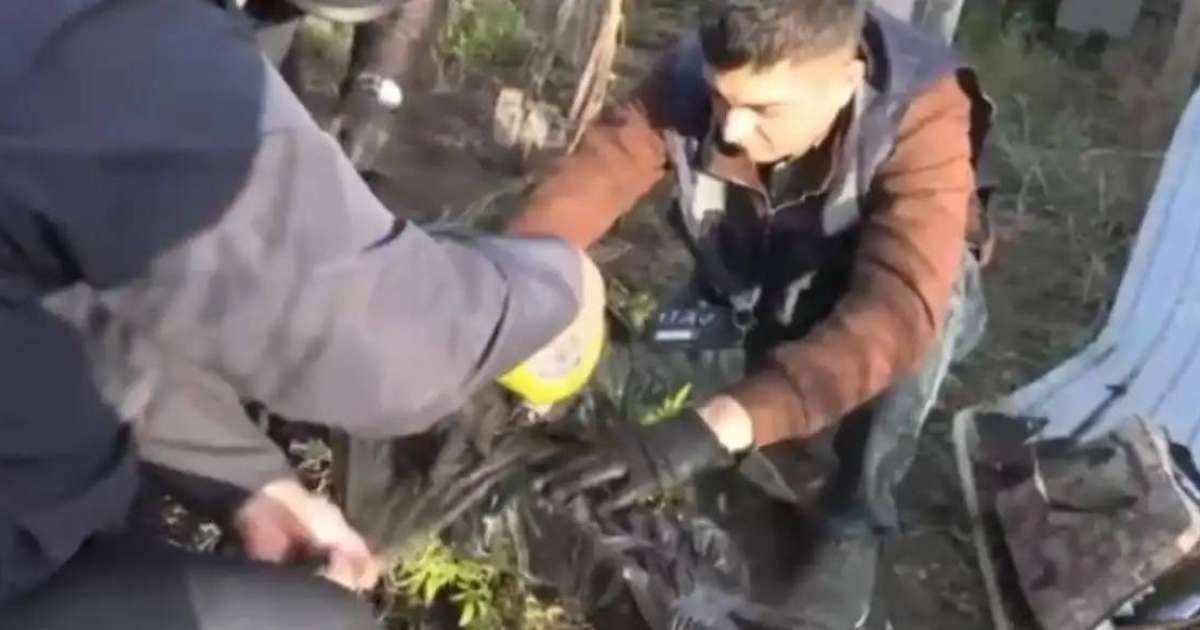 Colman Domingo and Jude Law at amfAR’s Venice Gala