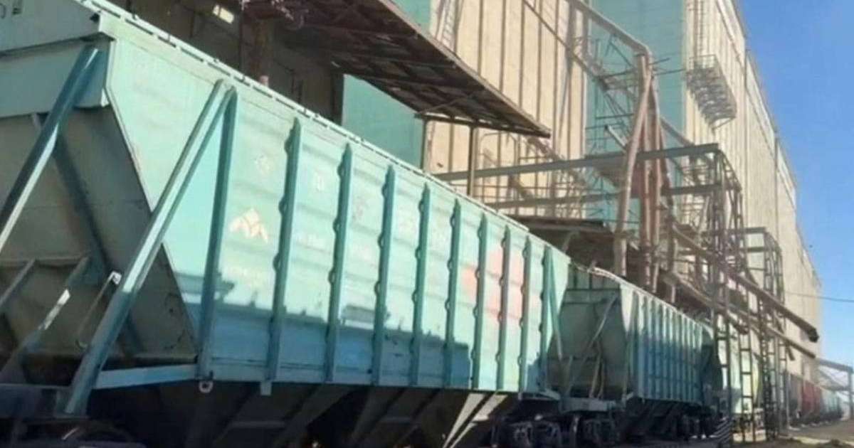 Қазақстан Арменияға алғашқы азық-түліктік бидай партиясын жөнелтті