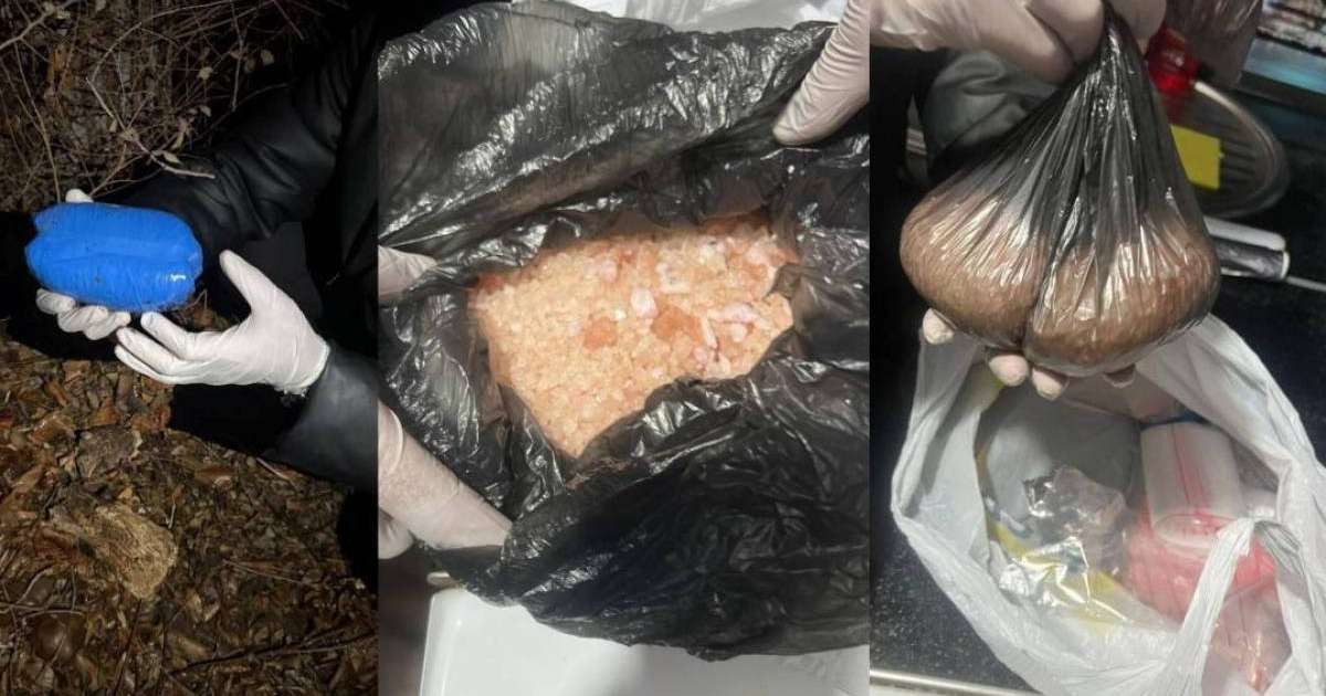 Colman Domingo and Jude Law at amfAR’s Venice Gala