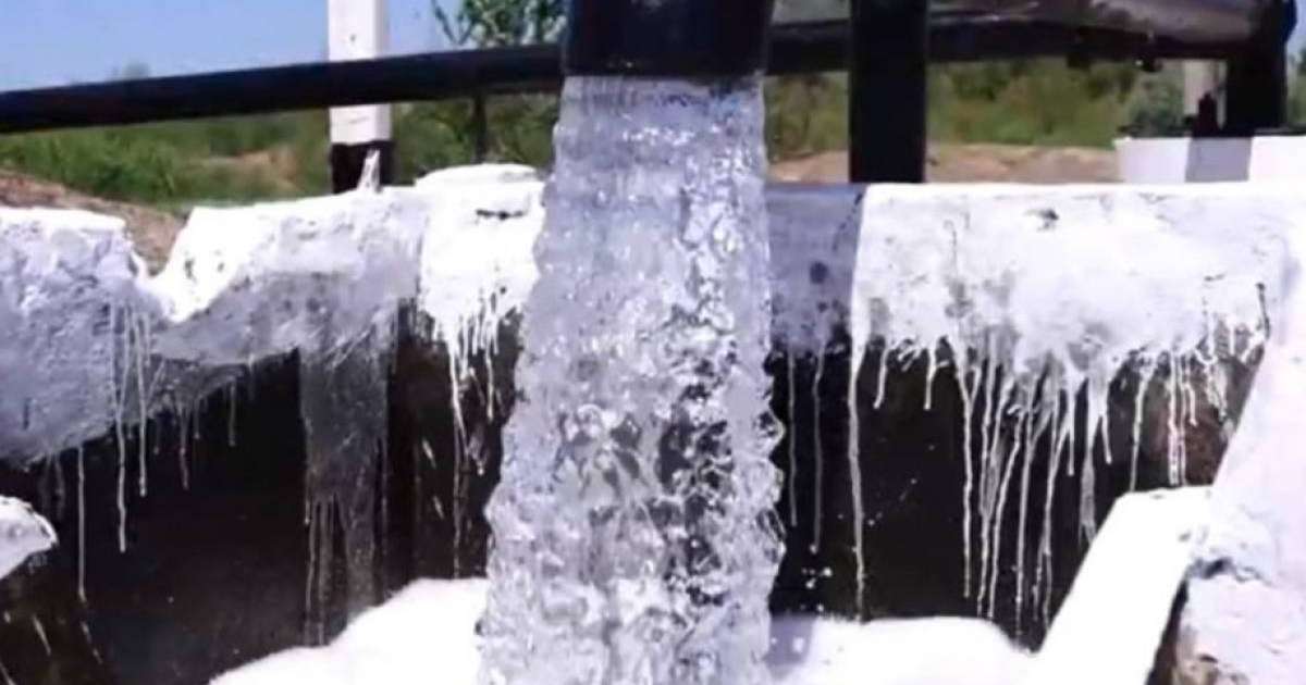 Colman Domingo and Jude Law at amfAR’s Venice Gala