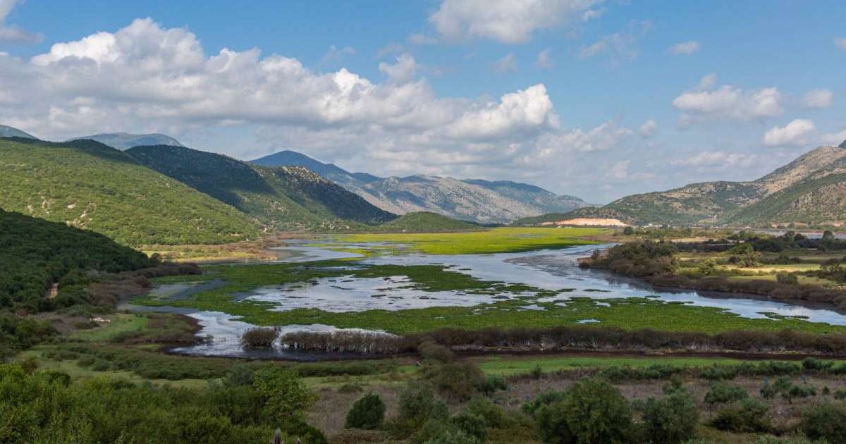 Colman Domingo and Jude Law at amfAR’s Venice Gala