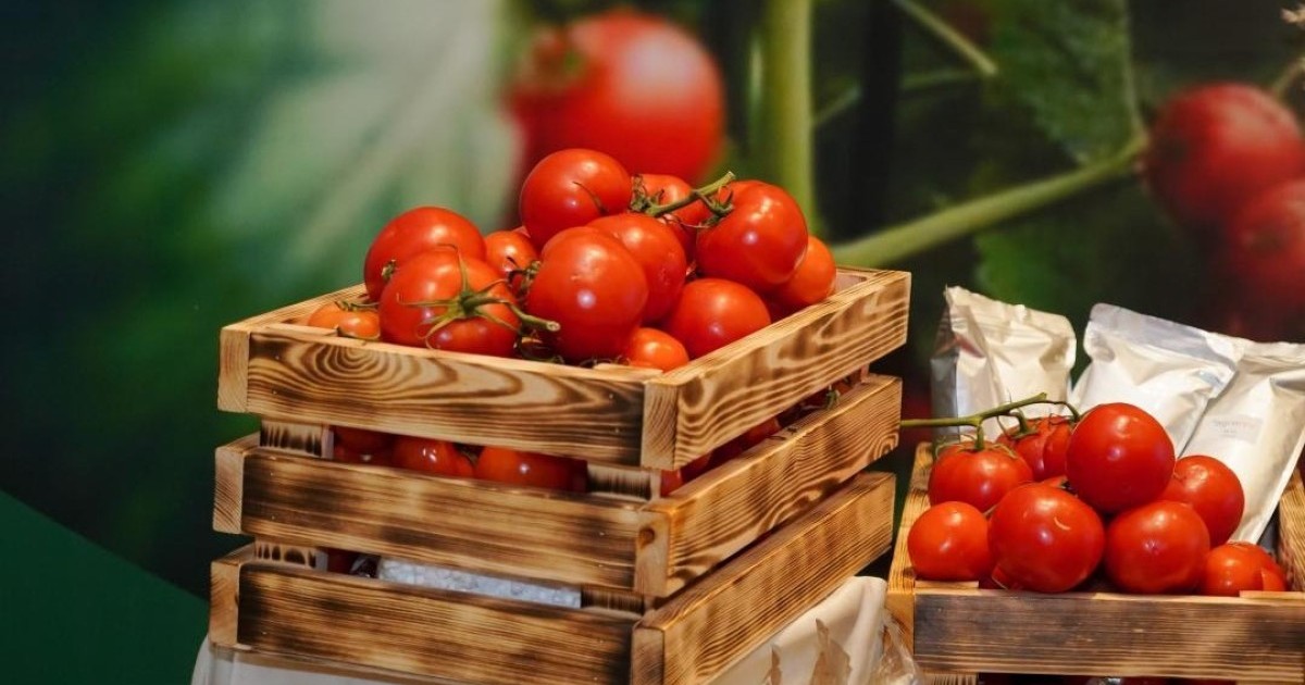 Шымкентте құны 69 млрд теңгені құрайтын жылыжай кешені салынады