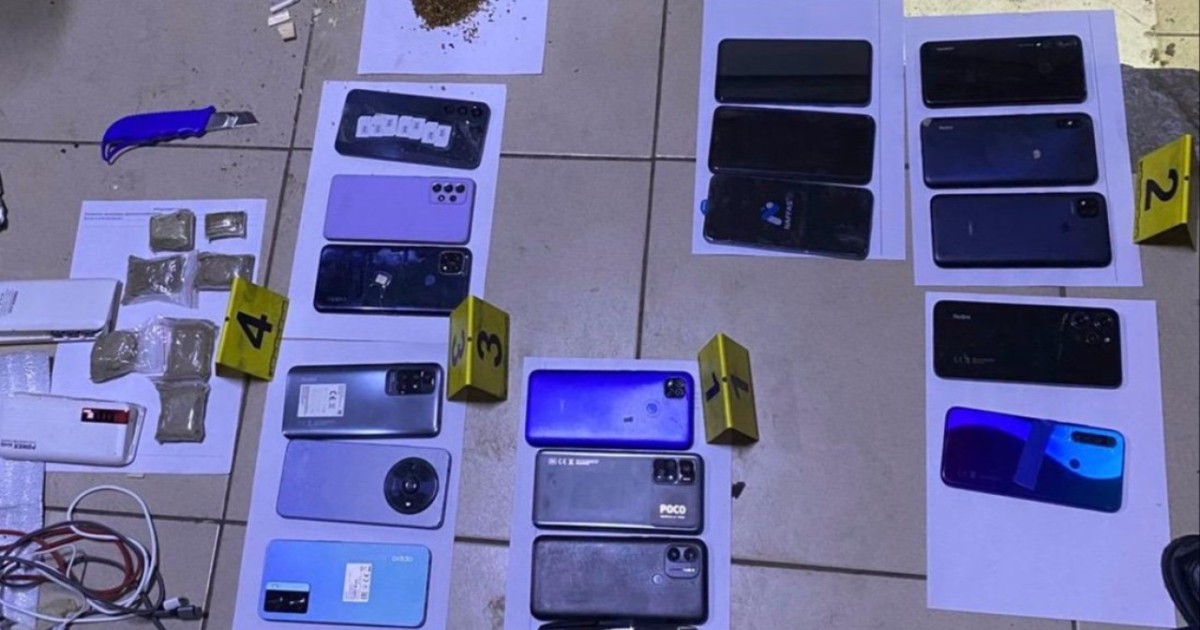 «Детектив» иті тыйым салынған заттар қоймасын анықтауға көмектесті