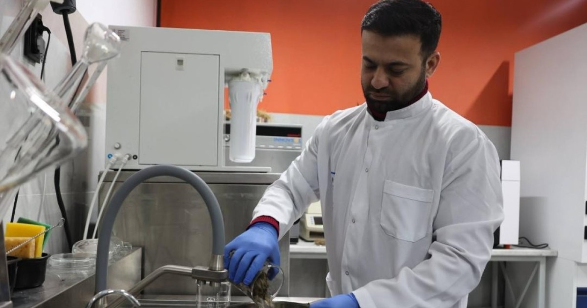 Отандық ғалымдар қант қызылшасы қалдықтарынан құнды материалдар әзірлеп шығарды