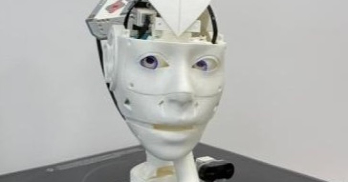 Астаналық оқушылар ерекше қажеттілігі бар құрдастарына көмектесетін робот құрастырып жатыр