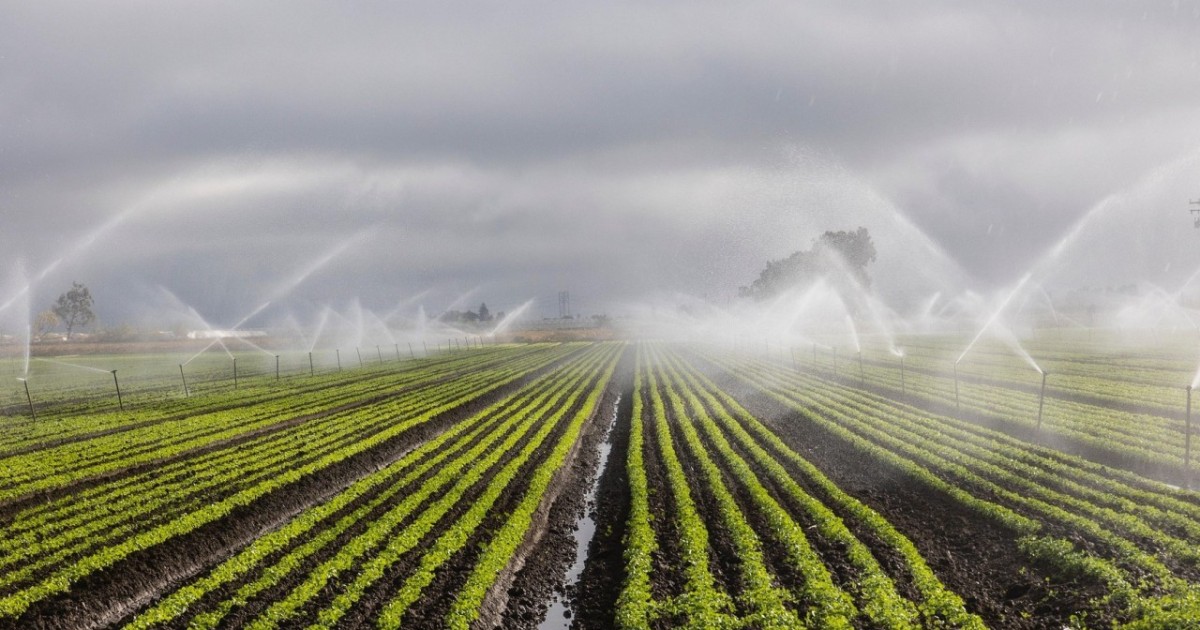 Сырдария өзені бассейнінде ауыл шаруашылығы дақылдарын суару режимдерін түзету мақсатында ауқымды зерттеу жүргізіліп жатыр