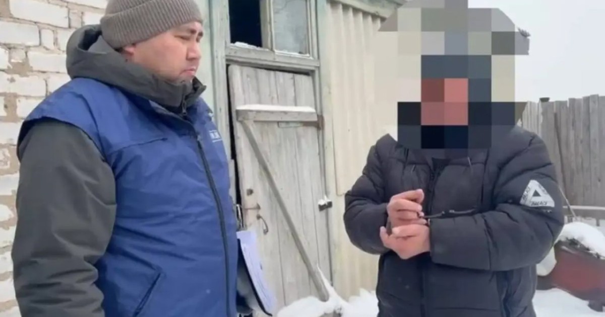 Ақмола облысында 24 бас құлынды айдап әкеткен күдікті ұсталды