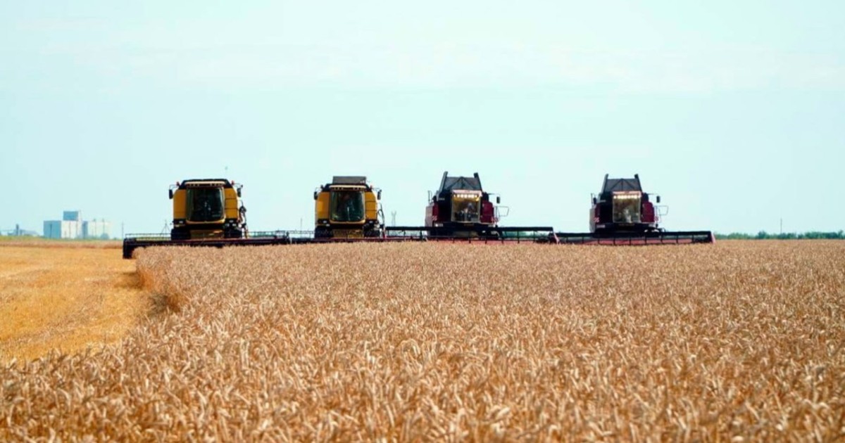 Қазақстанда астық элеваторларын салу және жаңғырту бойынша несие беру бағдарламасы іске қосылады