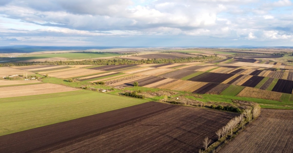 2,1 млн гектар пайдаланылмаған жер мерзімінен бұрын мемлекет меншігіне қайтарылды