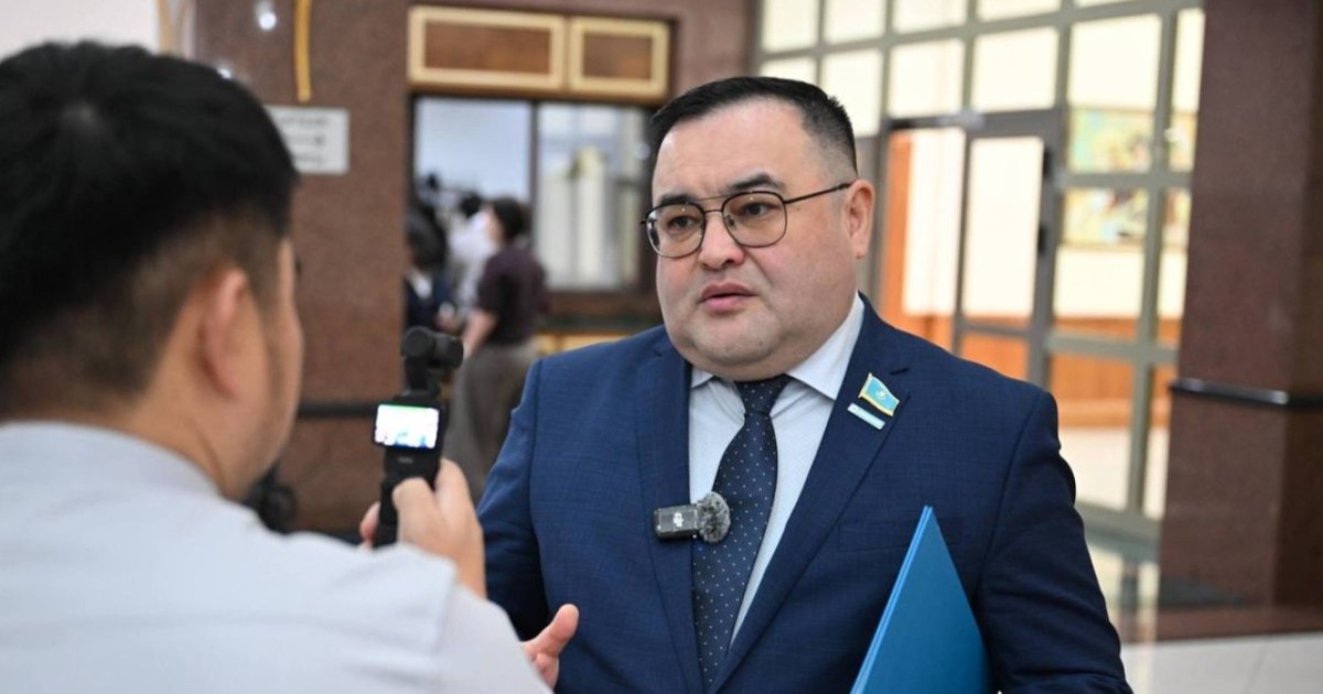 "Әр адам өзін мазалаған сұраққа жауап тапты деп ойлаймын”: депутат Президент сұхбаты туралы