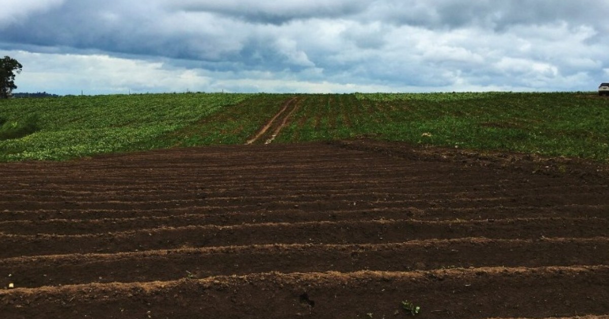 Ауыл шаруашылығы мақсатындағы 800 мың гектар жер мемлекет меншігіне қайтарылды