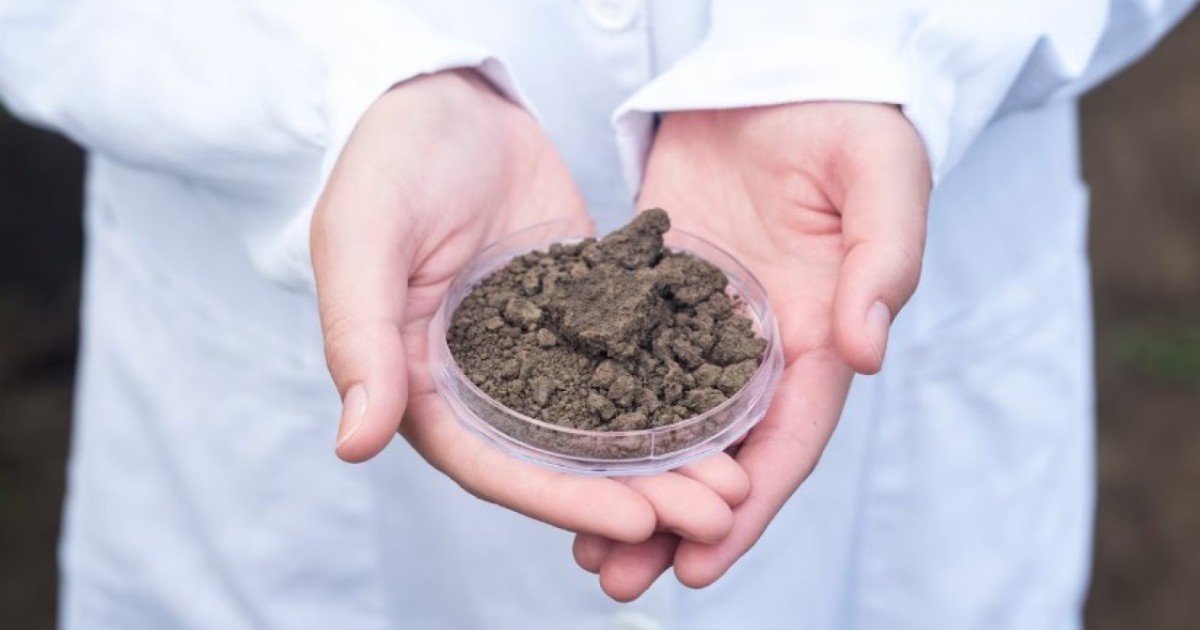 Биыл минералды тыңайтқыштар себу жоспары 2,3 млн тоннаны құрайды